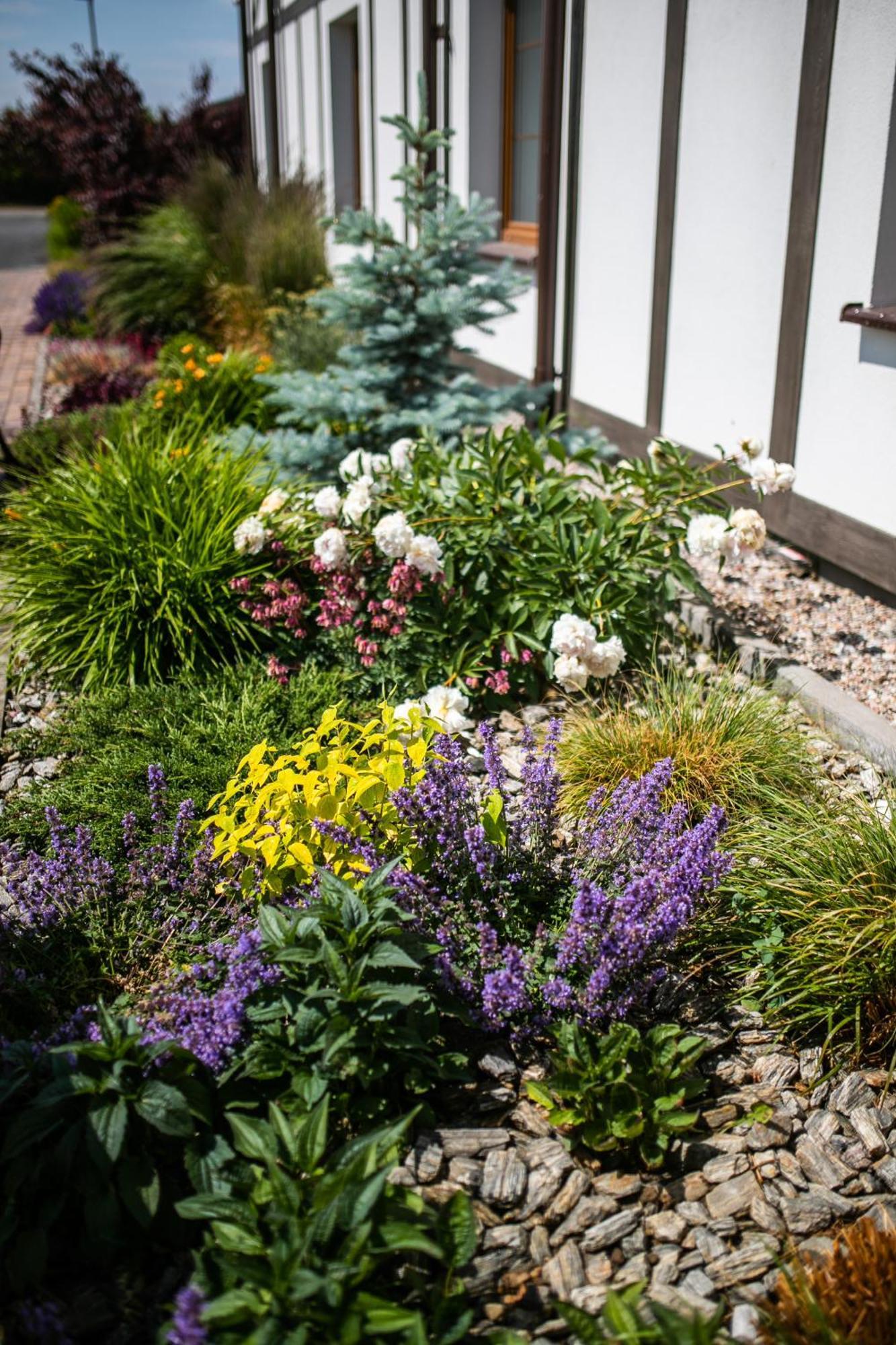 Nordowi Dwor Bed and Breakfast Celbowo Buitenkant foto