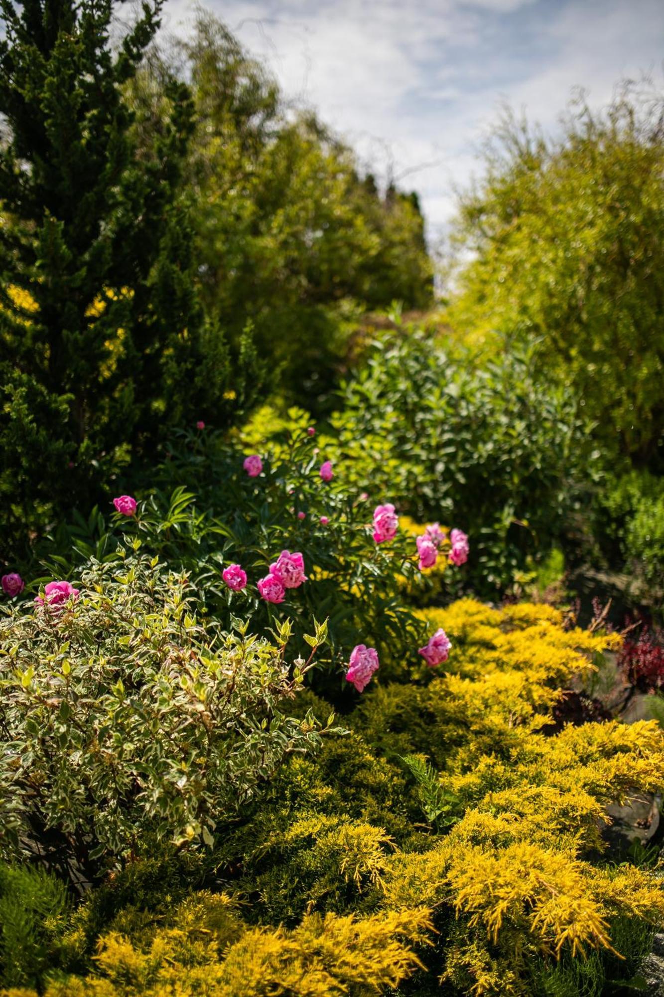 Nordowi Dwor Bed and Breakfast Celbowo Buitenkant foto